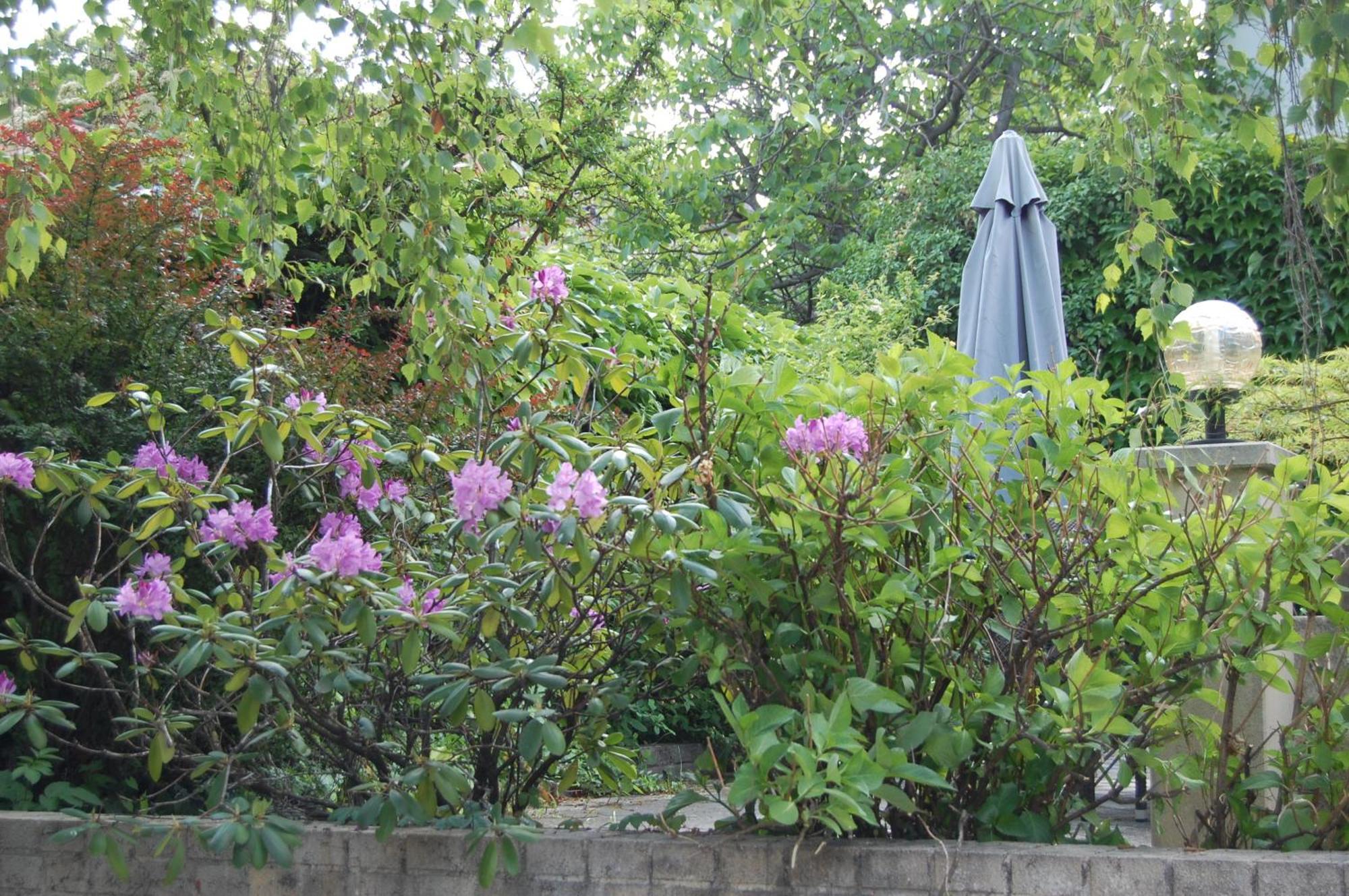 Hofgassl Zentgraf Bed & Breakfast Mörbisch am See Eksteriør bilde